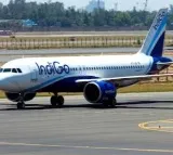 IndiGo stops serving beverages in cans onboard flights