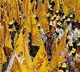AP Assembly Starts Tomorrow  TDP To Decide whether It Present Or Not