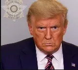 Donald Trump Jrs social media account briefly hacked