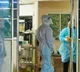 Bengal Man Who Returned from Kerala Admitted to Kolkata Hospital with Nipah Symptoms
