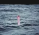 Two drown in Krishna river during Ganesh idols immersion