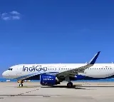 Man tries to open the door while plane prepare landing