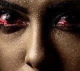 Mansion 24 Web Series Update