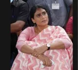 Decision on alliance with Cong by Sept end: Y.S. Sharmila
