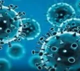 Another Covid outbreak ‘highly likely’: China’s 'batwoman'