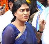 YS Sharmila will decide on party merger with congress within five days