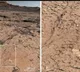 AI may help find life on Mars, other planets with 90% accuracy