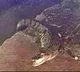 Crocodile surfaces out of open drain in Hyderabad