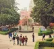 91 Indian universities gets place in global rankings