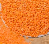 Masoor Dal Price May Hike As India Canada Conflict