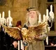 Harry Potter actor Sir Michael Gambon died in hospital