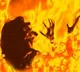 Pregnat woman set on fire by mother and brother
