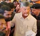 Arguments on chandrababu bail petition in inner ring road case