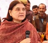Maneka Gandhi gets Rs 100 crore notice for ISKCON sells cows to butchers remark