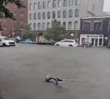 New York City declares state of emergency over flash flooding