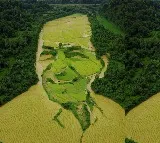 I see mine in every farm field of Telangana Himanshu posts KCR Photo