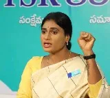 YS Sharmila To Go Delhli To Meet Congress High Command