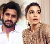 Samantha pet dog is with Naga Chaitanya