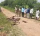 over 35 monkey killed with poison in peddapalli district of Telangana