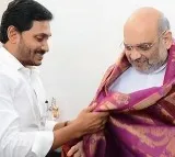 YS Jagan meets union minister amit shah
