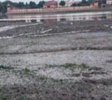 Has Yamuna become India’s river of sorrow?