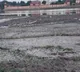 Has Yamuna become India’s river of sorrow?