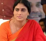 YSRTP Chief Sharmila Ready To Contest From Paleru
