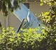 two Indian trainee pilots have died in a plane crash in Canada