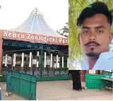 Hyderabad Zoo employee died in elephant attack