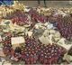 Telangana seizes 14,000 liters liquor after ECI's strict orders