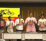 TDP releases book on AP Fibernet project