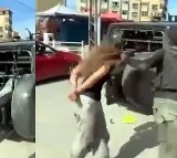 Hamas Militants Targets Israel Woman and Children
