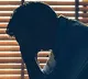 India among countries with highest stroke risk in young age: Lancet