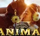 ‘Hua Main’ from ‘Animal’ blends heartfelt romance with gangster swag