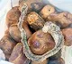 Pregnant woman finds dead snake in food supplied by anganwadi center in Chittoor