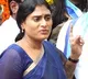 YS Sharmila to contest from two seats in telangana