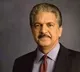 Anand Mahindra opines on India win over Pakistan in world cup