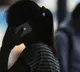 Man Recorded Wifes Phone Calls Without Permission What Court Said