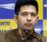 Delhi HC allows Raghav Chadha's plea against trial court order on govt bungalow allocation