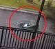 Florida street racer driving 80 mph lands in canal