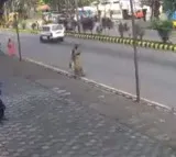 car rammed into some women walking on the footpath beside the road at over speed in mangalore