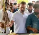Viral Rahul tries his hand at dosa making in Telangana
