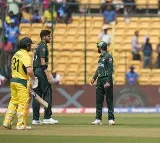 Aussies set 368 runs target to Pakistan