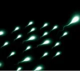 Study reveals why some men don't produce enough sperm