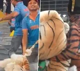 Indian Fans apologise Bangladesh superfan Shoaib Ali