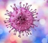 Chinese scientists find 8 new viruses from rodents, sparking pandemic risk