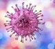 Chinese scientists find 8 new viruses from rodents, sparking pandemic risk