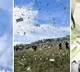 Czech influencer drops 1 million dollar from helicopter
