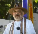 Laws for new criminal justice system will be passed soon: Amit Shah