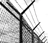 A Bangladeshi woman illegally entered India for her boyfriend